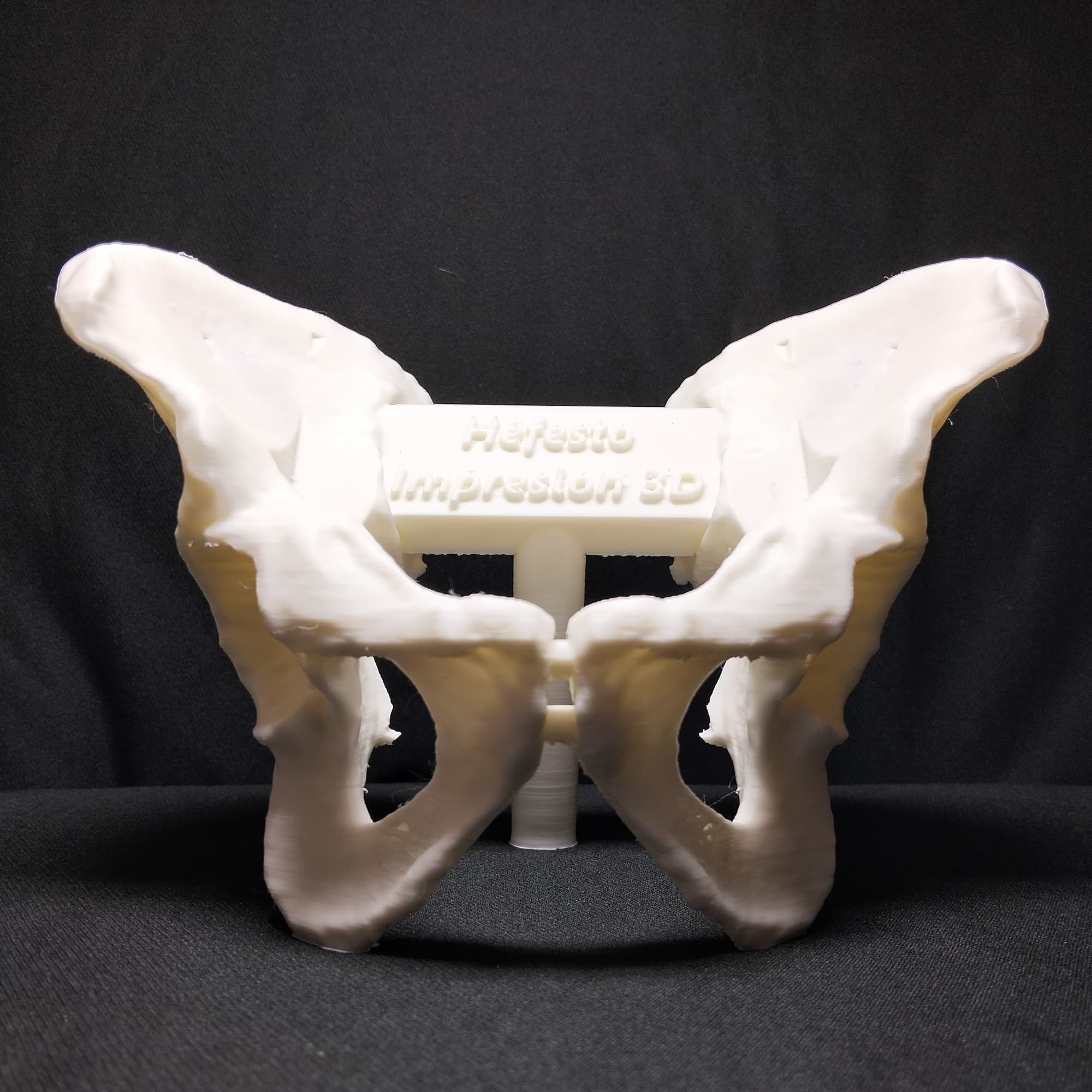 Modelo anatómico 3D de pelvis — Hefestech